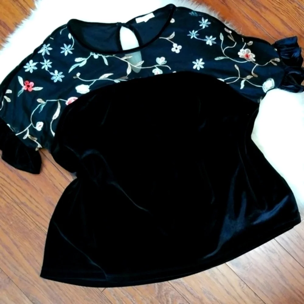 Anthropologie Pleione Black Velvet floral Mesh Blouse - Picture 1 of 8